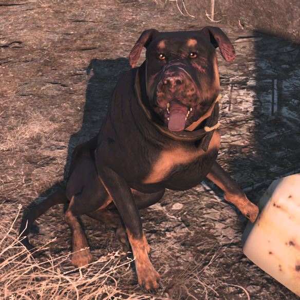 Datei:FO4 GenesStreuner.jpg