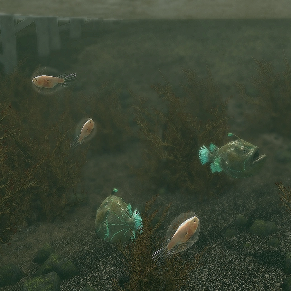 Datei:Skyrim SSE Seeteufel-Gruppe mit Larven.webp