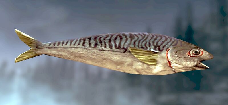 Datei:Item Raw Bluegill.jpg
