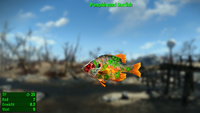 Fallout 4 MM Fischarten Pumpkinseed Sunfish.webp