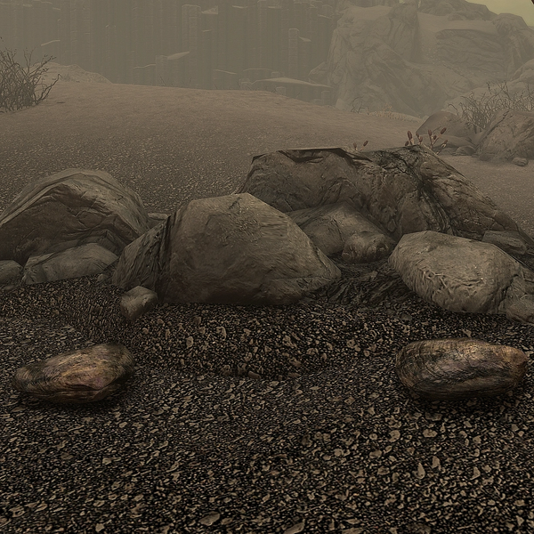 Datei:Skyrim SSE Austern in Solstheim.webp