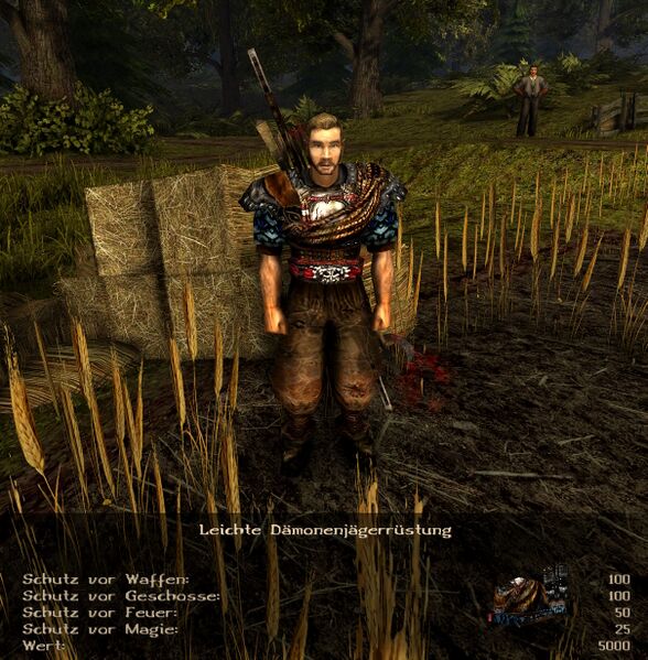 Datei:Gothic2 Nostalgic Rüstung Leichte Dämonenjägerrüstung.jpg