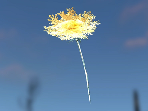 FO4 Alchemy Legendäre Karottenblume.webp