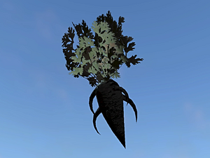 FO4 Alchemy Schwarze Karotte.webp