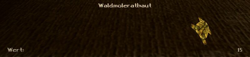 Datei:Gothic2 Nostalgic Item Waldmolerathaut.jpg