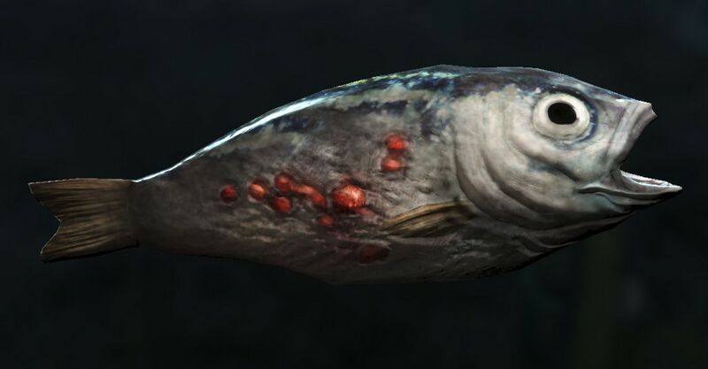Datei:G2M Dead Fish.jpg