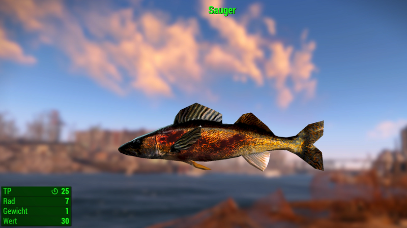 Datei:Fallout 4 MM Fischarten Sauger.webp