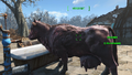 AN76 Brahmin-Melken Siedlungsbrahmin.webp