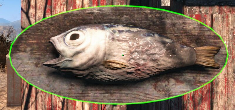 Datei:Deko Mounted Salmon.jpg