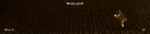 Gothic2 Nostalgic Item Wolfsfell.jpg