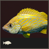 Icon FranzösischerGrunzer 165x165.png