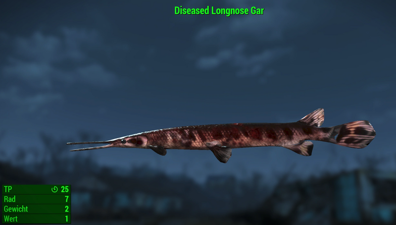 Datei:Fallout 4 MM Fischarten Longnose Gar Diseased.webp
