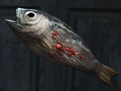 G2M Steak Dead Fish.jpg