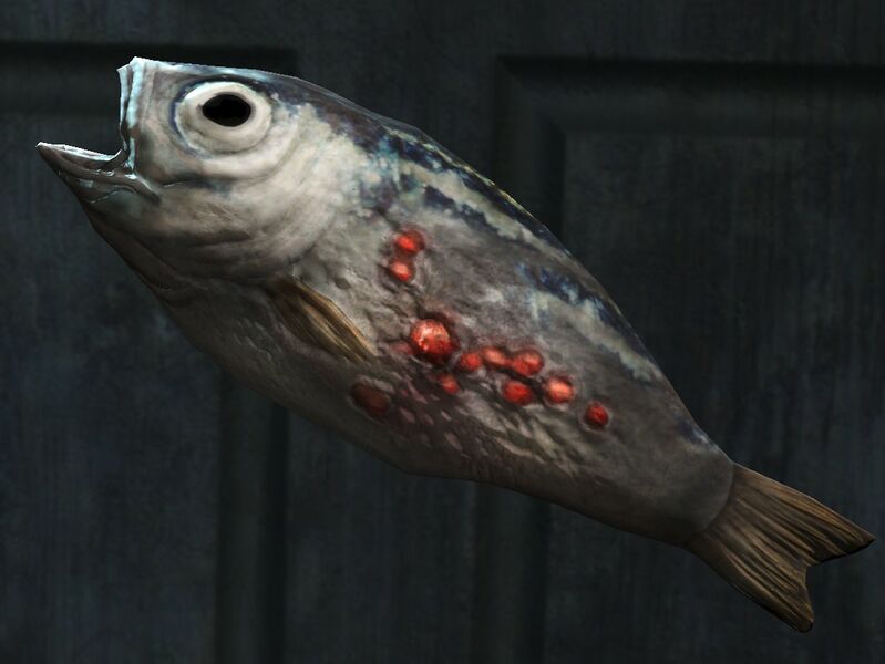 Datei:G2M Steak Dead Fish.jpg