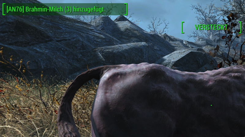 Datei:AN76 Brahmin-Melken Finch-Farm Milchausbeute.webp