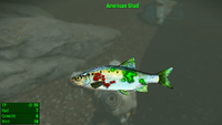 Fallout 4 MM Fischarten American Shad.webp
