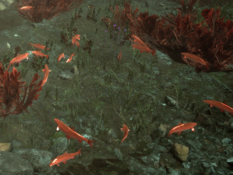Datei:GR Bergfestung Ambiente Goldfische.webp