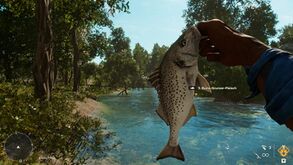 Angeln Burro-Grunzer.jpg