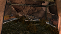+Pocket Empire Builder+ Er+Ly+La (1).webp