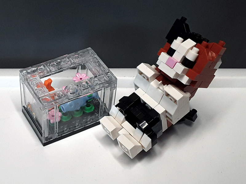 Datei:LOZ 8608 Katze am Aquarium (2).webp