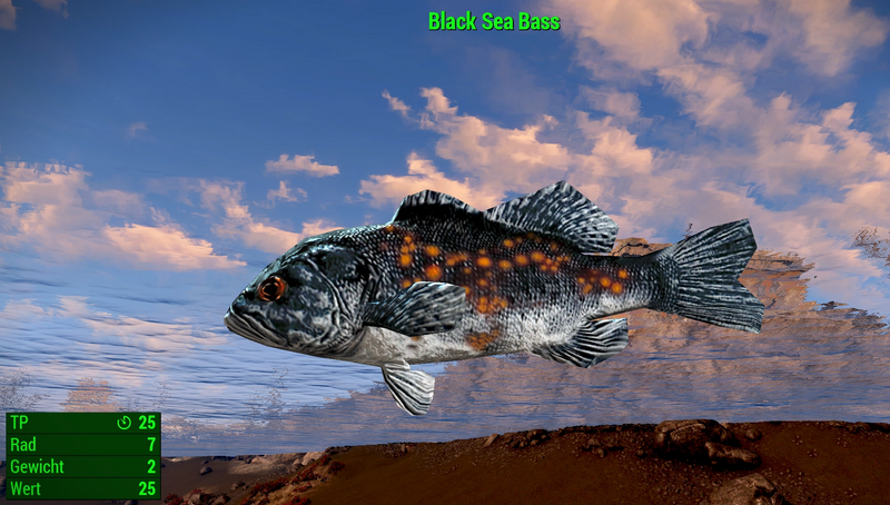Datei:Fallout 4 MM Fischarten Black Sea Bass.webp
