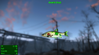 Fallout 4 MM Fischarten Alewife Shad.webp