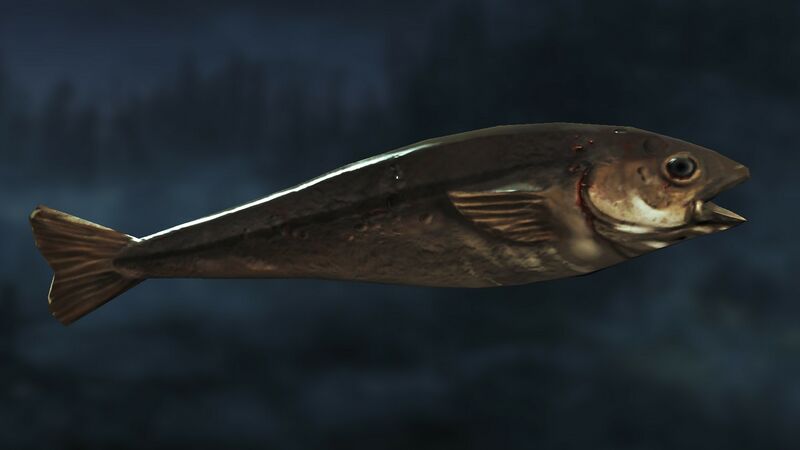 Datei:Item Raw Haddock.jpg