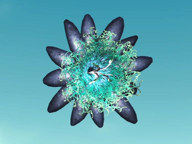 Datei:F4 MM Hilfsmittel Fieberblüten.webp