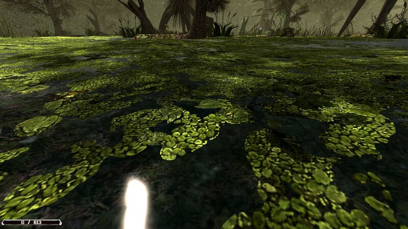 Datei:Gothic2-Nostalgic Sumpf.jpg
