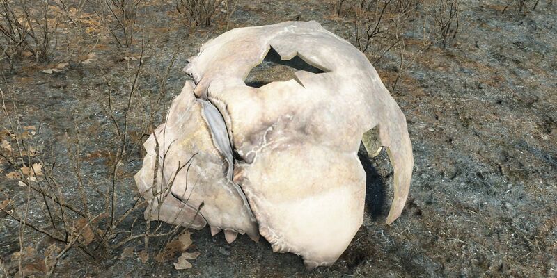 Datei:Diverses Mirelurk-Panzer.jpg