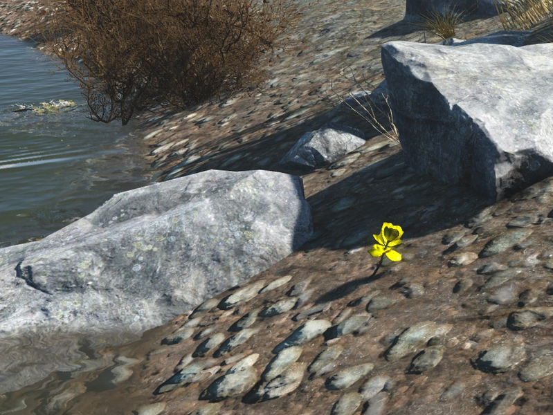 Datei:FO4 Alchemy Teichblume im Habitat.webp