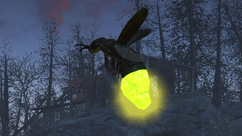 Datei:FO4 MM Glühwürmchen.webp