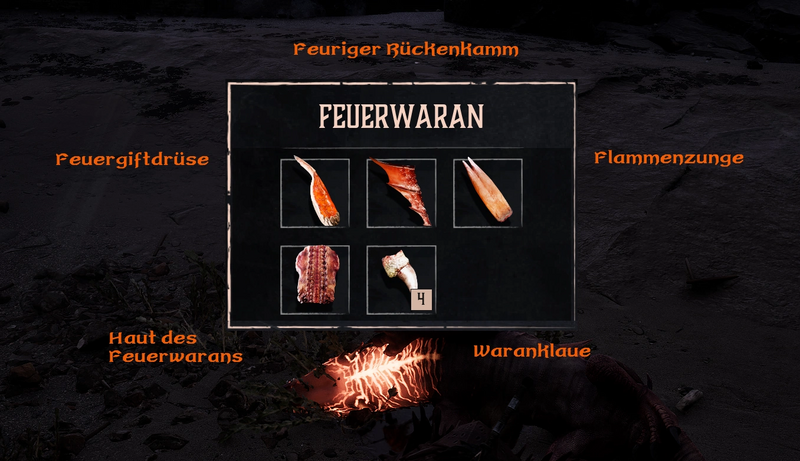 Datei:GR Feuerwaran Beuteübersicht.webp