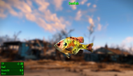 Fallout 4 MM Fischarten Sunfish.webp