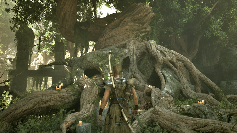 Datei:GR Alter Baum im Sumpf.webp