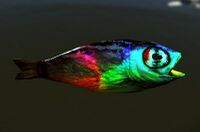 Item Rainbow Carp.jpg