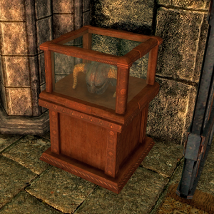 Placeable Display Pedestal Schaukasten 2.webp