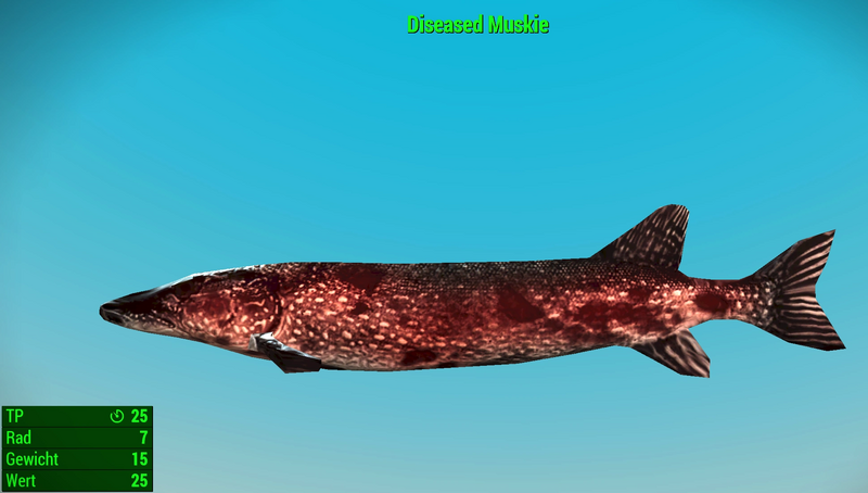 Datei:Fallout 4 MM Fischarten NW Muskie Diseased.webp