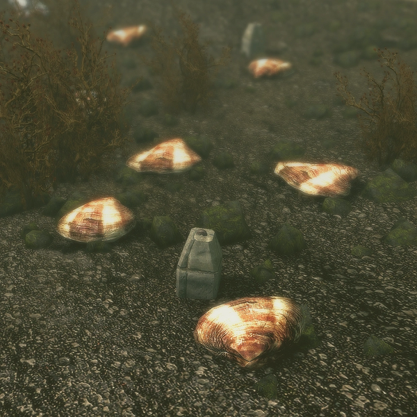 Datei:Skyrim SSE Muscheln.webp