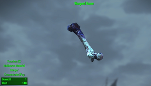 FO4 MM Item Warped Bone.webp