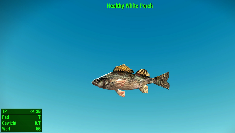Datei:Fallout 4 MM Fischarten NW White Perch Healthy.webp