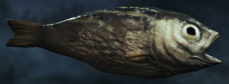 Datei:Item Raw Salmon.jpg