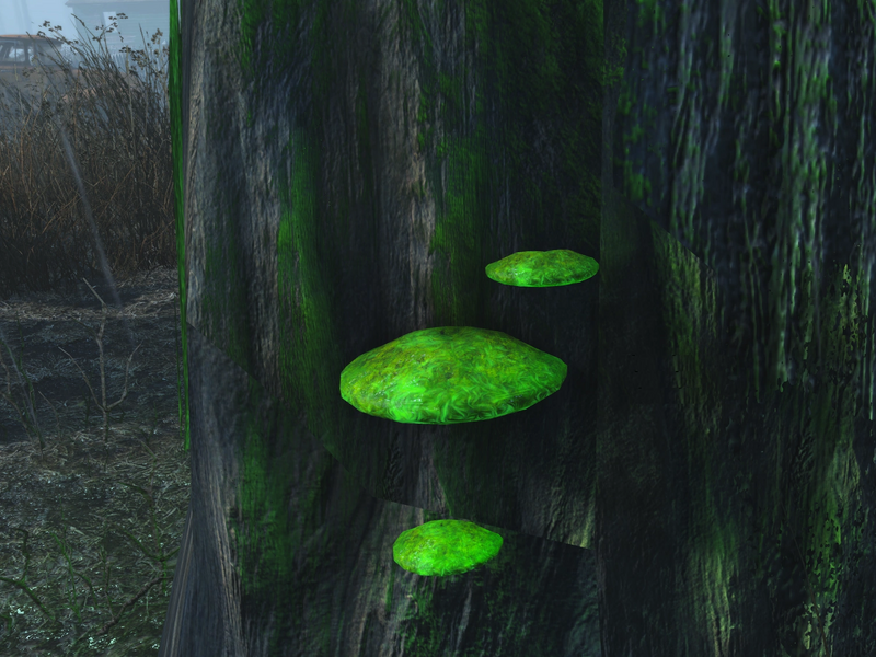Datei:FO4 Alchemy Kobra-Pilz im Habitat.webp