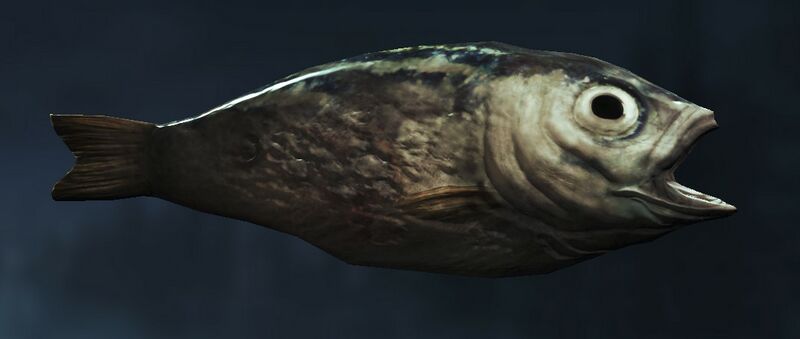 Datei:Item Raw Trout.jpg