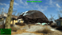 Fallout 4 MM Fischarten Mirelurk Spawn Diseased.webp