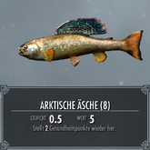 Skyrim SSE Angeln Arktische Äsche.webp