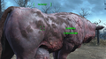 AN76 Brahmin-Melken Clarabell.webp