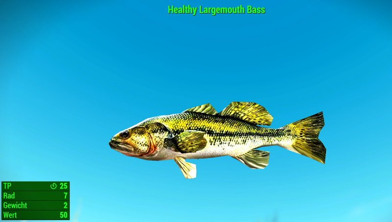 Datei:Fallout 4 MM Fischarten NW Largemouth Bass Healthy.webp