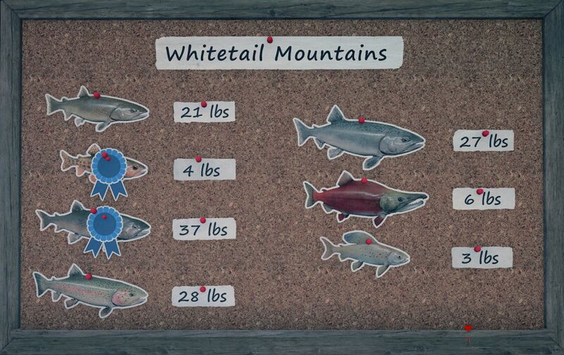 Datei:Angelrekorde WhitetailMountains.jpg