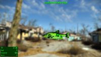 Fallout 4 MM Fischarten Alewife Shad Irradiated.webp